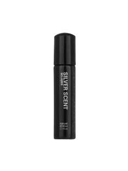 عطر جیبی مردانه مدل Silver...