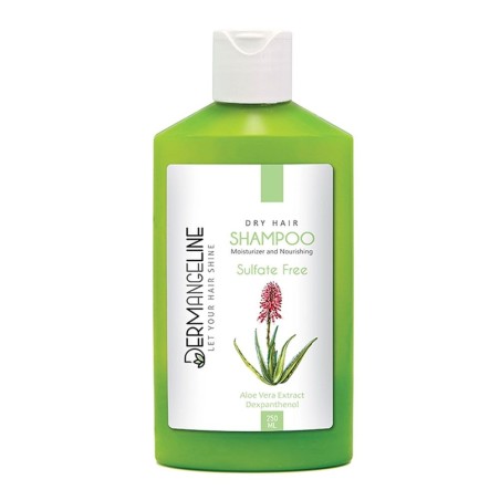 شامپو مو درم انجلین مناسب موهای خشک حجم 250 میل