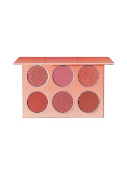 پالت رژگونه 6 رنگ شیگلم sheglam مدل Floral Flush وزن 18 گرم