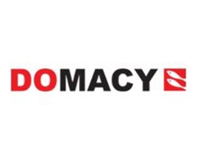 دوماسی domacy