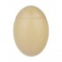 کرم مرطوب کننده زردآلو Apricot هندولوژی 60 میل