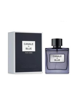 ادو پرفیوم مردانه مدل Canale Di Bleu همراه با اسپری فرگرانس 100 میل