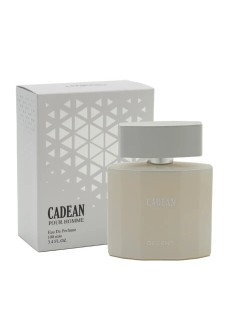 ادو پرفیوم مردانه دیسنت مدل Cadean حجم 100 میل