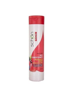 نرم کننده مو شون مناسب موهای نرمال و خشک با عصاره میوه ای مدل Restore & Shine حجم 400 میل