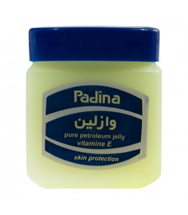 وازلین معطر پادینا 120 میل