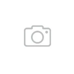 مام استیک ضد تعریق مدل Powder Fresh لیدی اسپید 65 گرم